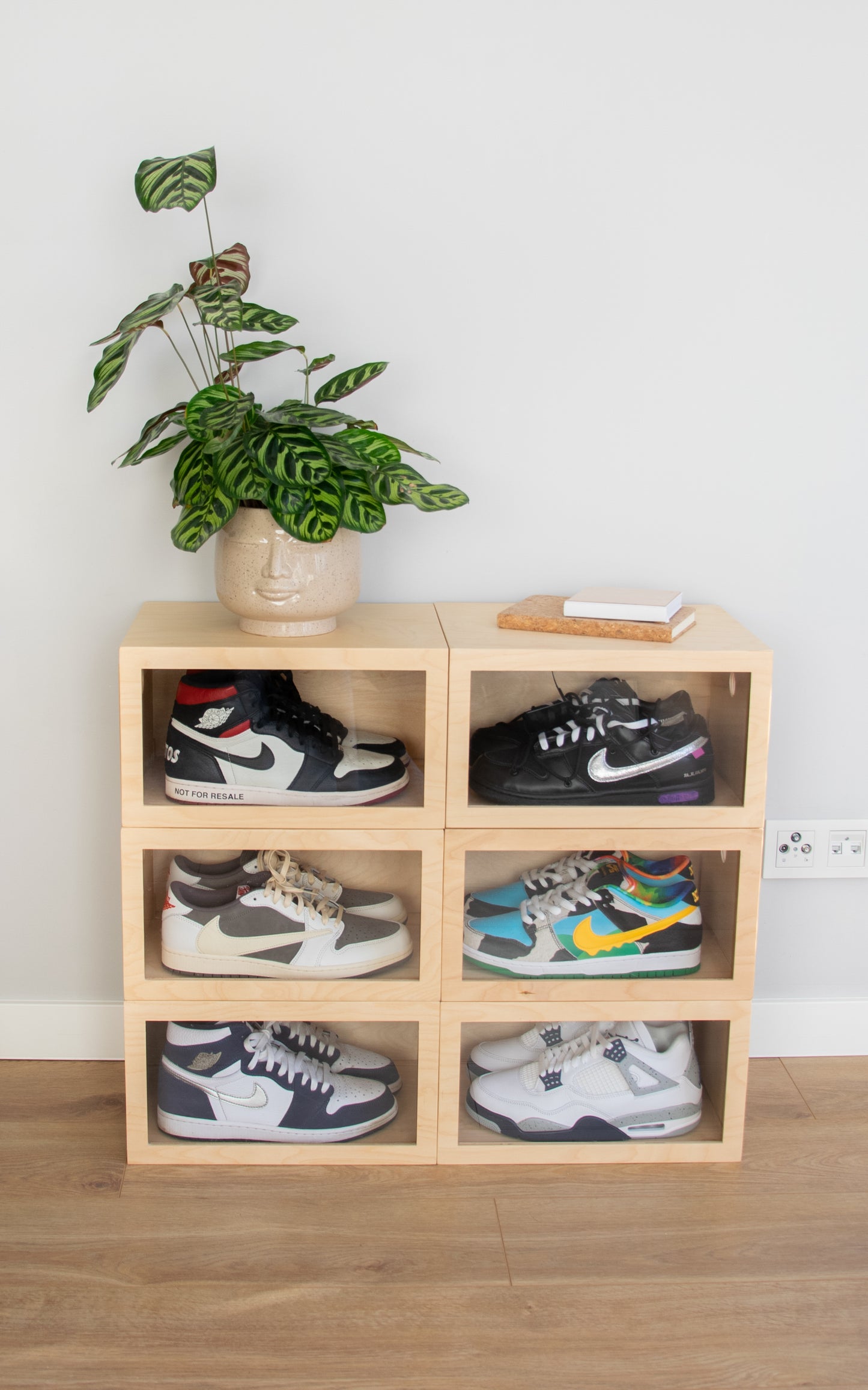sneakers box